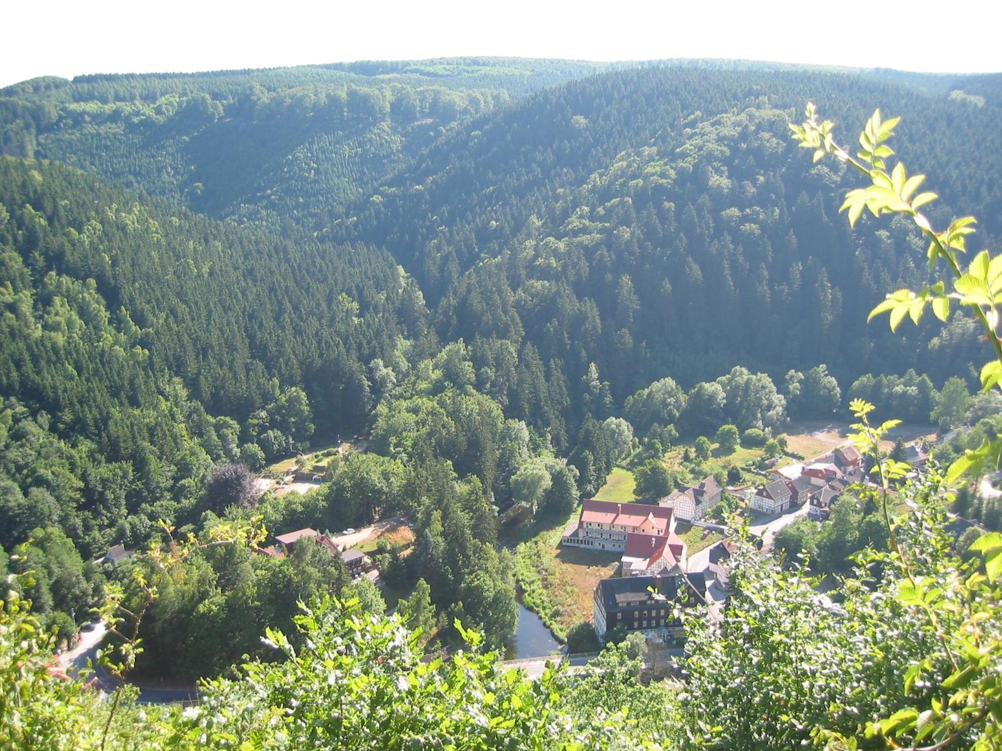 Greenline Ferienhotel Forelle Thale Exterior foto